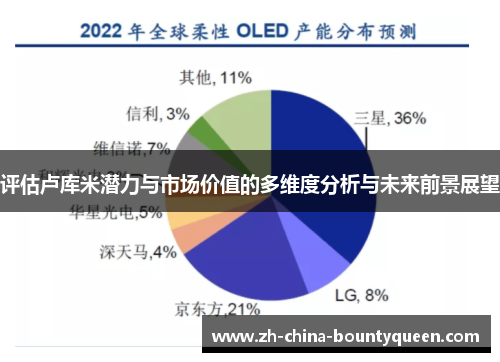 评估卢库米潜力与市场价值的多维度分析与未来前景展望