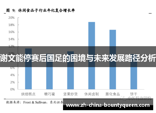 谢文能停赛后国足的困境与未来发展路径分析