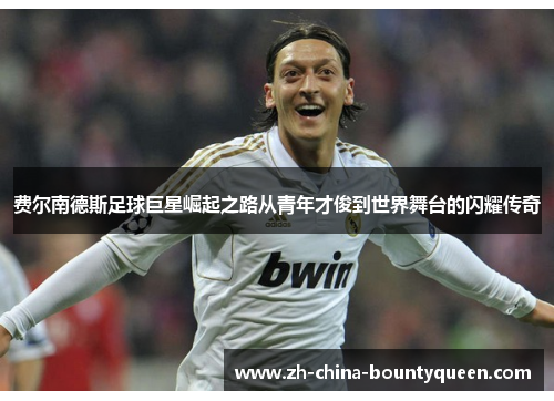 费尔南德斯足球巨星崛起之路从青年才俊到世界舞台的闪耀传奇