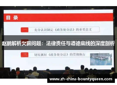 赵鹏解析欠薪问题：法律责任与道德底线的深度剖析