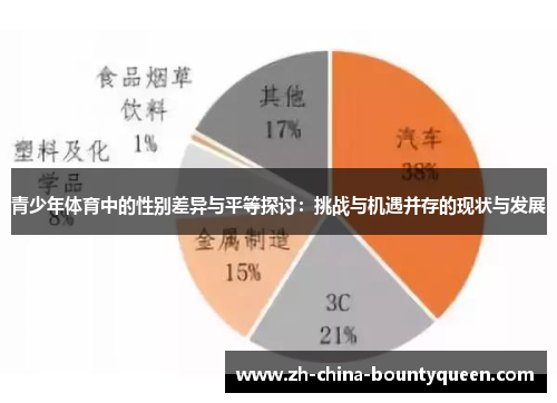 青少年体育中的性别差异与平等探讨：挑战与机遇并存的现状与发展